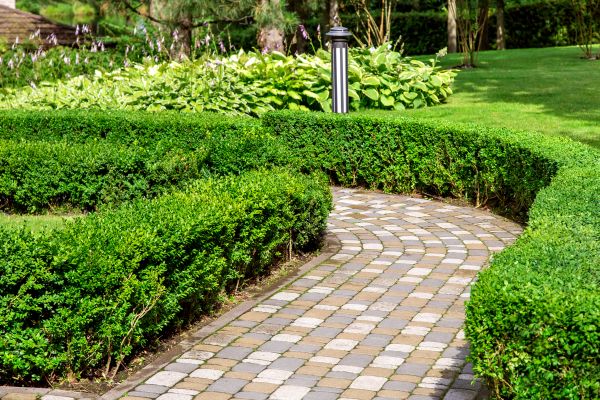Paved Landscaping in Puyallup