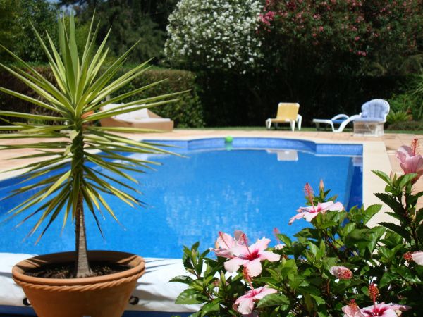 Pool Terrace Renovation in Puyallup